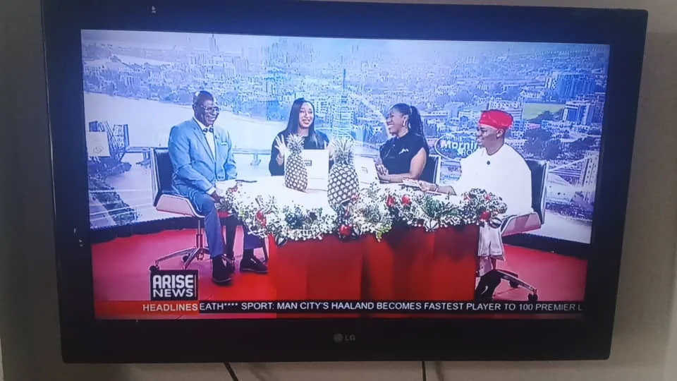 Photo of a television screen showing Dr. Alabi appearing live on the Arise News broadcast table surrounded by pineapples and news anchors.
