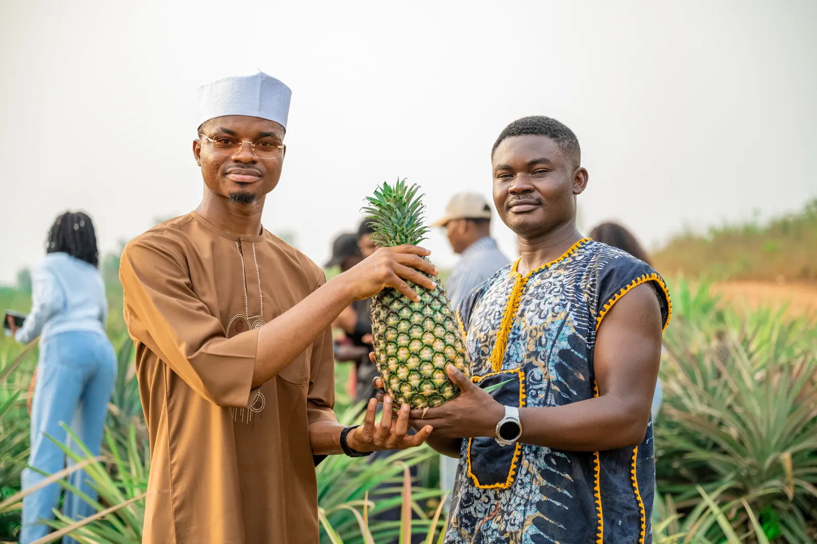 Dr. Alabi and an agricultural associate standing directly in the pineapple field holding a giant pineapple.